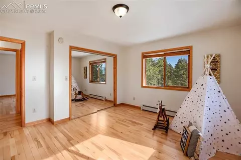 4155 Cedar Mountain Rd, Divide, CO 80814 photo 22
