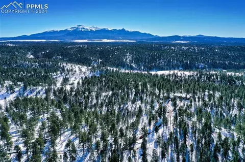 4155 Cedar Mountain Rd, Divide, CO 80814 photo 34