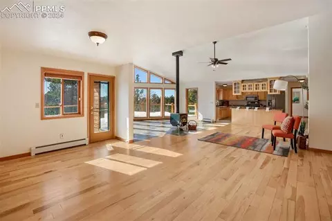 4155 Cedar Mountain Rd, Divide, CO 80814 photo 4