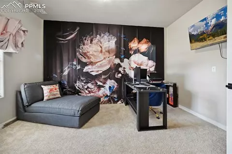 8295 Thedford Ct, Peyton, CO 80831 photo 13