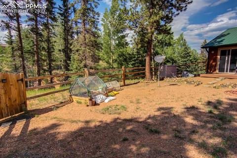 1199 Ridge Rd, Divide, CO 80814 photo 21