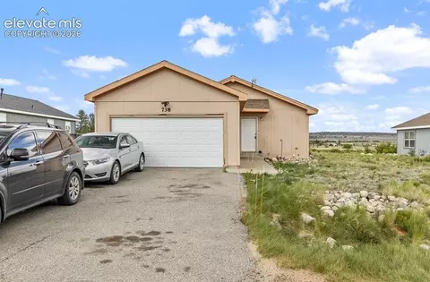 738 Trout Creek Dr, Fairplay, CO 80440