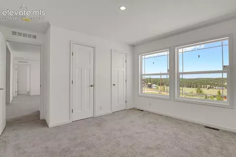 Bedroom - 58 Elfin Glen Dr, Divide, CO 80814 photo 3 of 7
