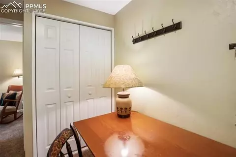 555 Elfin Glen Dr, Divide, CO 80814 photo 37