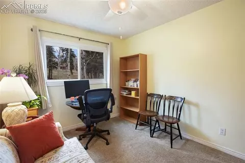 555 Elfin Glen Dr, Divide, CO 80814 photo 27