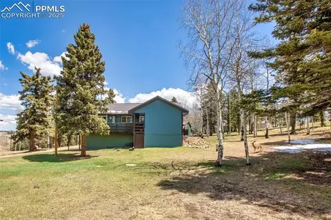 555 Elfin Glen Dr, Divide, CO 80814 photo 11