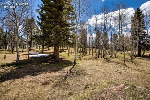 555 Elfin Glen Dr, Divide, CO 80814 photo 10