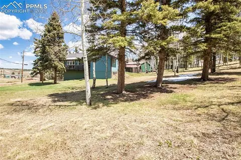 555 Elfin Glen Dr, Divide, CO 80814 photo 12