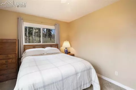 555 Elfin Glen Dr, Divide, CO 80814 photo 25