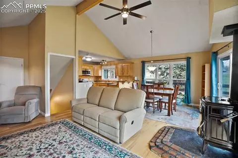 555 Elfin Glen Dr, Divide, CO 80814 photo 14