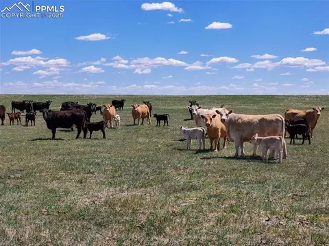 18497 County Road 197, Limon, CO 80828