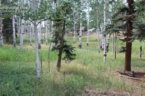 175 Club Dr, Woodland Park, CO 80863