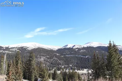 1480 Roberts Rd, Fairplay, CO 80440