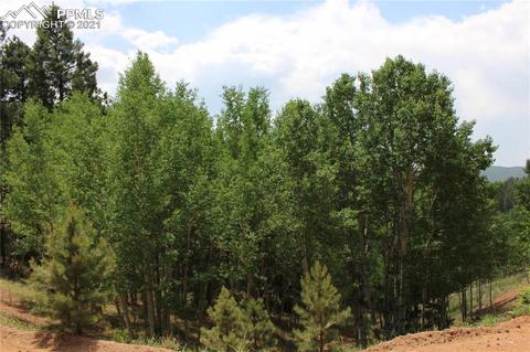 421 Calcite Dr, Divide, CO 80814 photo 1