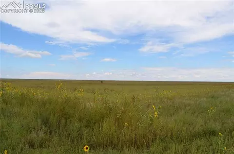 Parcel 6 County Road 2, Rush, CO 80833 photo 3