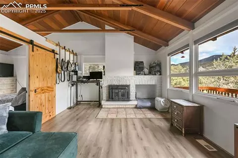580 Timber Ridge Rd, Divide, CO 80814 photo 9
