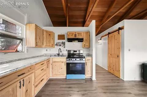 580 Timber Ridge Rd, Divide, CO 80814 photo 6