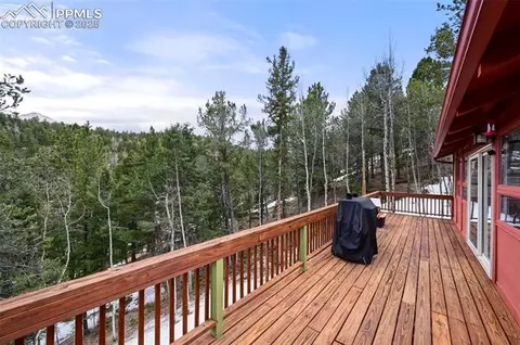 580 Timber Ridge Rd, Divide, CO 80814 photo 12
