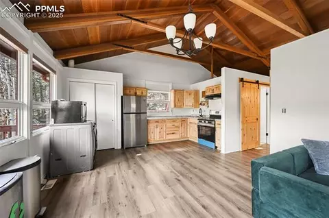 580 Timber Ridge Rd, Divide, CO 80814 photo 7
