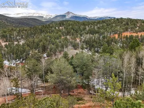 580 Timber Ridge Rd, Divide, CO 80814 photo 24