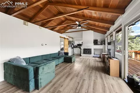 580 Timber Ridge Rd, Divide, CO 80814 photo 8