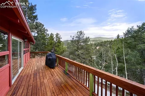 580 Timber Ridge Rd, Divide, CO 80814 photo 13