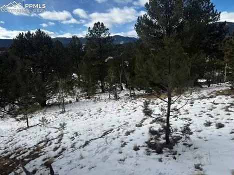 113 Hall Rd, Bailey, CO 80421 photo 1