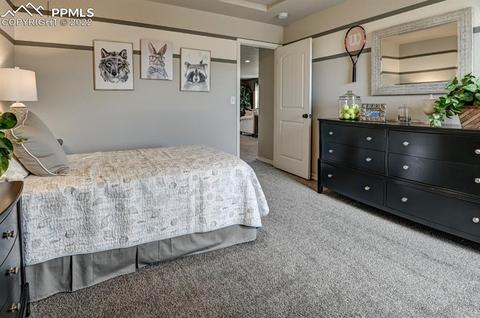 11093 Willmore Dr, Peyton, CO 80831 photo 36