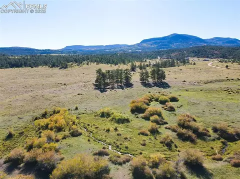 Rosebush Road, Canon City, CO 81212