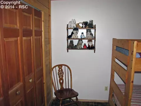 56 W Lake Dr, Divide, CO 80814 photo 13