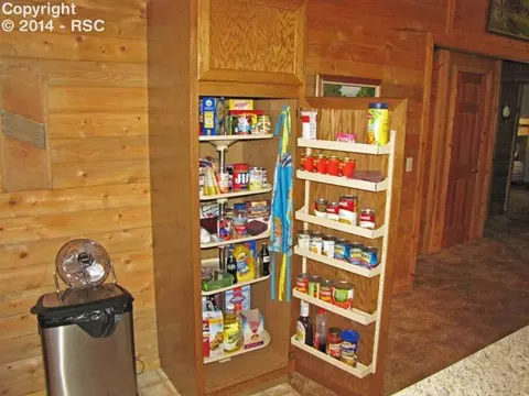 56 W Lake Dr, Divide, CO 80814 photo 10