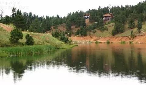 56 W Lake Dr, Divide, CO 80814 photo 21