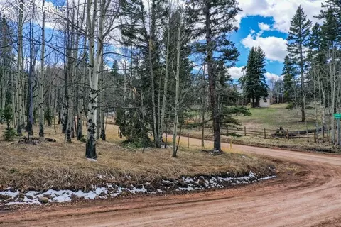 90 Maid Marian Dr, Divide, CO 80814