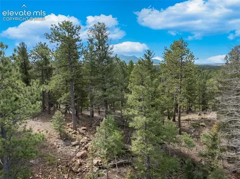 422 Spring Valley Dr, Divide, CO 80814 photo 22