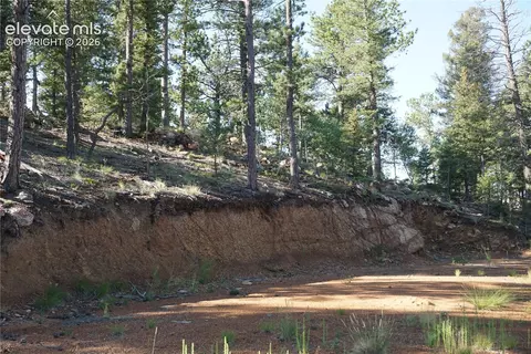 422 Spring Valley Dr, Divide, CO 80814 photo 3