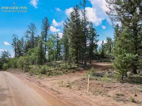 422 Spring Valley Dr, Divide, CO 80814 photo 9
