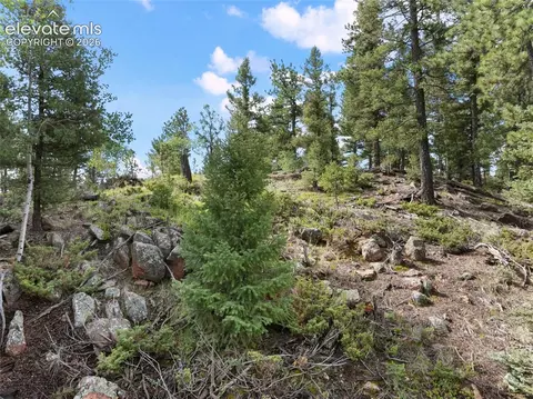 422 Spring Valley Dr, Divide, CO 80814 photo 23