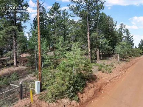 422 Spring Valley Dr, Divide, CO 80814 photo 10