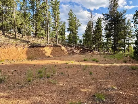 422 Spring Valley Dr, Divide, CO 80814 photo 2