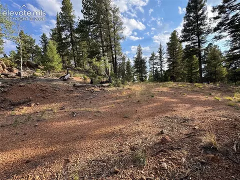 422 Spring Valley Dr, Divide, CO 80814 photo 4