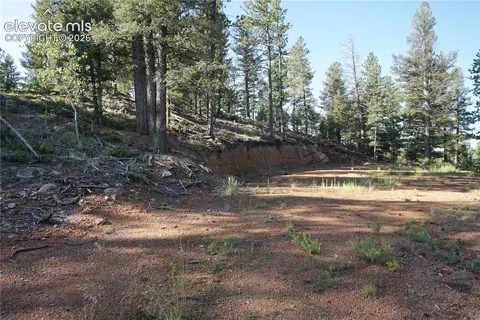422 Spring Valley Dr, Divide, CO 80814 photo 2