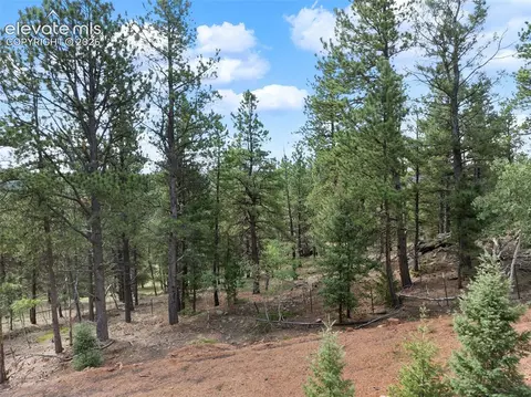 422 Spring Valley Dr, Divide, CO 80814 photo 19
