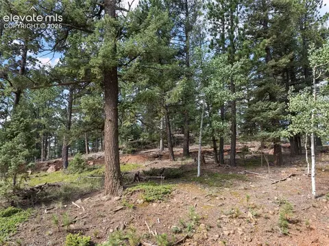 422 Spring Valley Dr, Divide, CO 80814 photo 11
