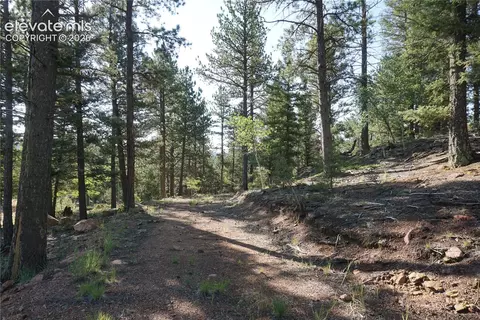 422 Spring Valley Dr, Divide, CO 80814 photo 5