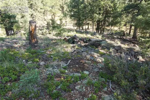 422 Spring Valley Dr, Divide, CO 80814 photo 24