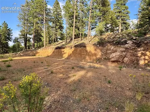 422 Spring Valley Dr, Divide, CO 80814 photo 3