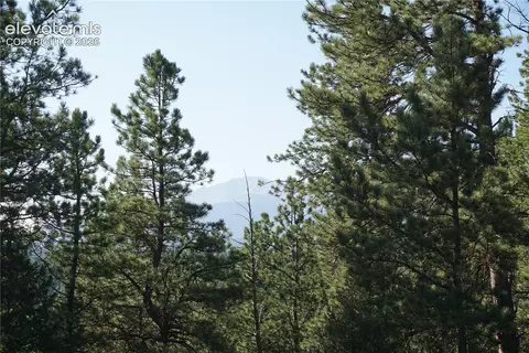 422 Spring Valley Dr, Divide, CO 80814 photo 8