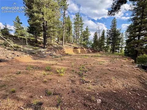 422 Spring Valley Dr, Divide, CO 80814 photo 26