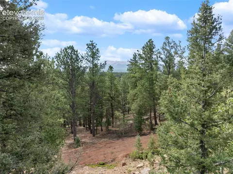 422 Spring Valley Dr, Divide, CO 80814 photo 21