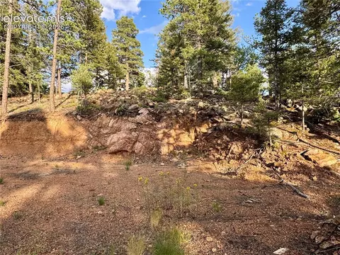 422 Spring Valley Dr, Divide, CO 80814 photo 27